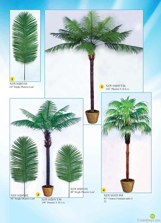 Palm Tree