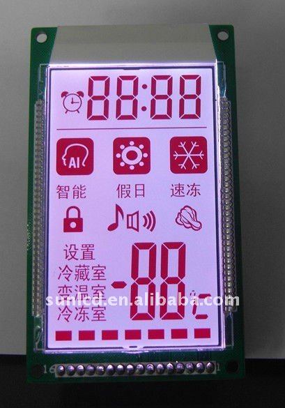 segment LCD display