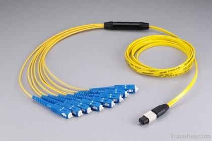 MPO - 8 LC singlemode Patch Cord