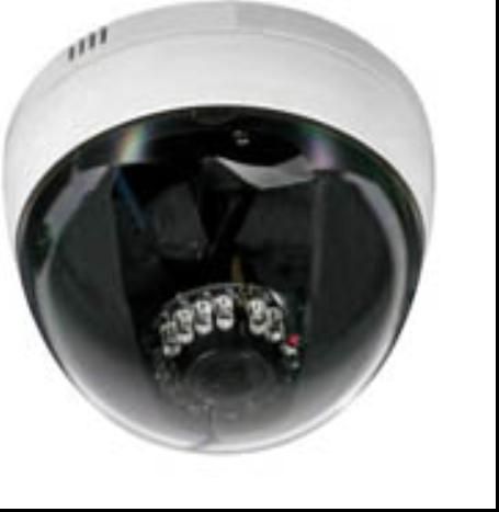 Megapixel IP Camera