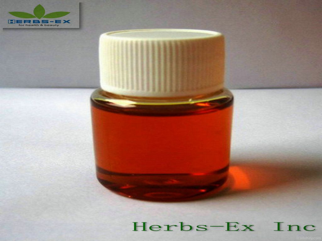 Carrot Seed Oil