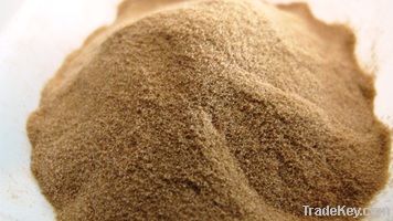 Noni Extract Powder