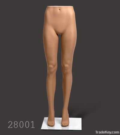 torso, bust forms, legs