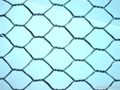 hexagonal wire netting