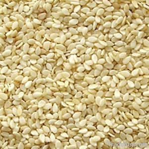 Hulled Sesame Seeds