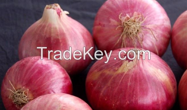 Red Onion ( Fresh ) Available throughout the Year