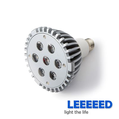 PAR30 9W 6500K LED Spot PAR Light