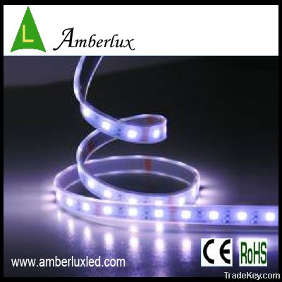 3528 SMD warm white led strip IP65