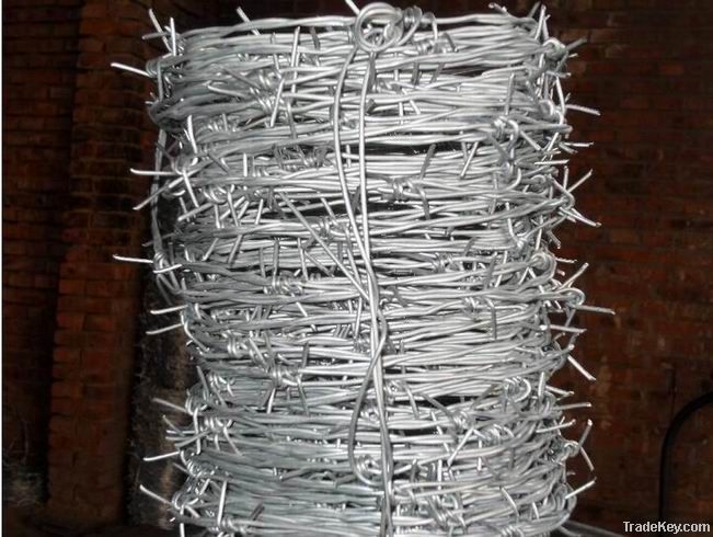 Razor wire