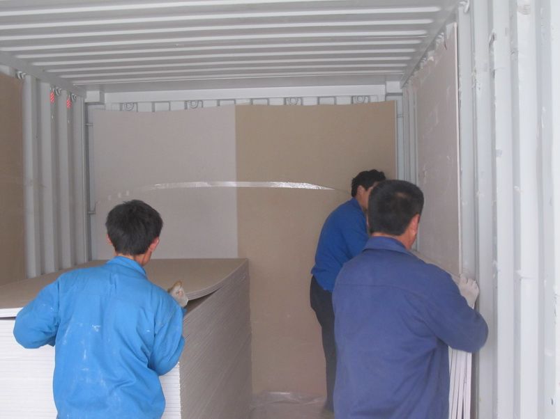 Gypsum board