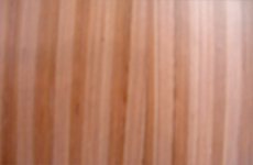 Sapele decorative plywood