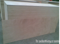 Door Skin Plywood