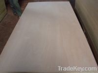 Okoume Plywood