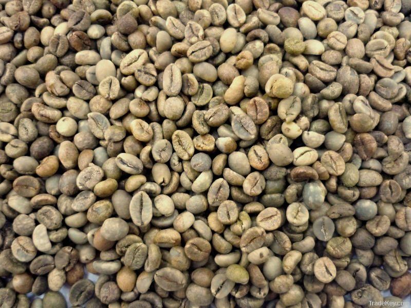  Export Green Coffee Beans | Green Coffee Bean Importer | Green Coffee Beans Buyer | Buy Green Coffee Beans | Green Coffee Bean Wholesaler | Green Coffee Bean Manufacturer | Best Green Coffee Bean Exporter | Low Price Green Coffee Beans | Best Quality Gre