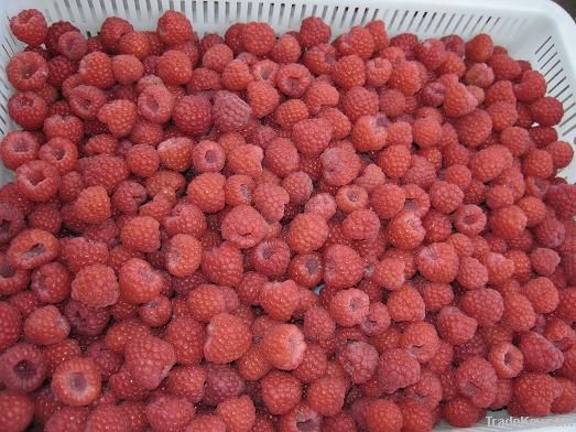 strawberry, lingonberry, raspberry, Apricot halves