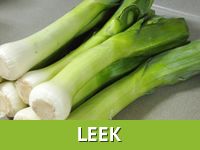 Leek