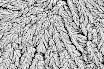 High-performance monoclinic zirconia