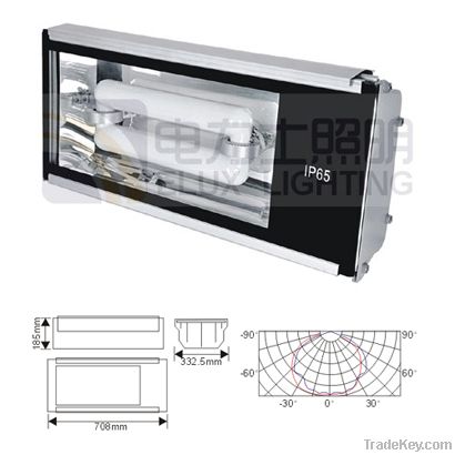 Induction Tunnel Lamp(TL001)