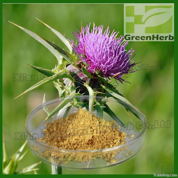 milk thistle seed extract silymarin silybin ISO-silybin