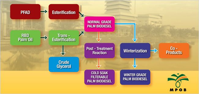 Palm biodiesel (Normal &amp; Winter Grade)