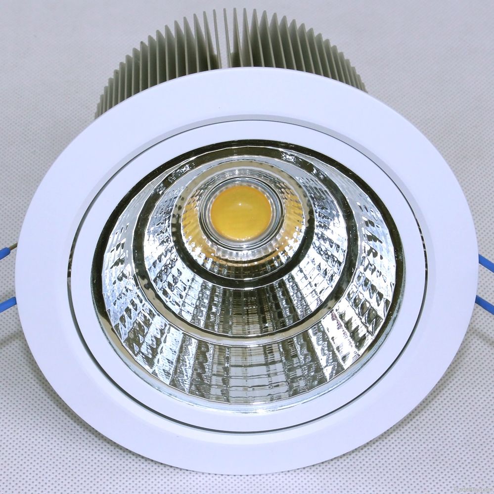 30W COB LED DOWN LIGHT