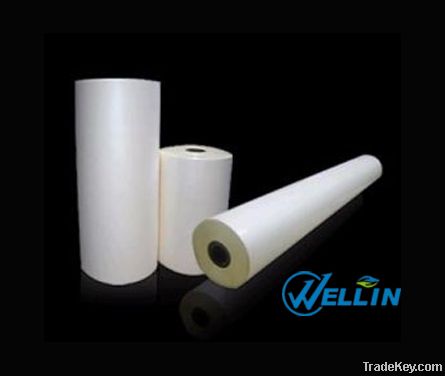 Laminating Roll Film