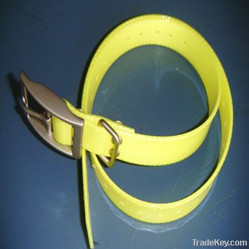 Fashional TPU dog collar