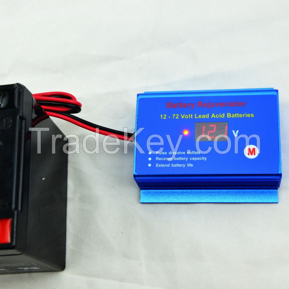 12V 24V 36V 48V 60V 72V battery rejuvenator