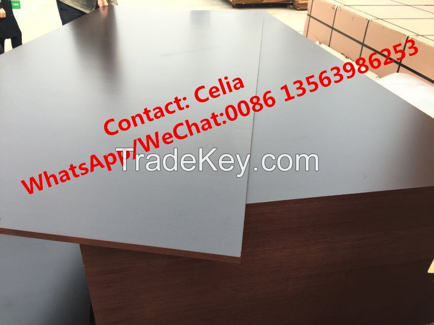 Film faced plywood/Phenolic plywood/shuttering plywood