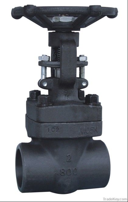 Forged Steel Valve