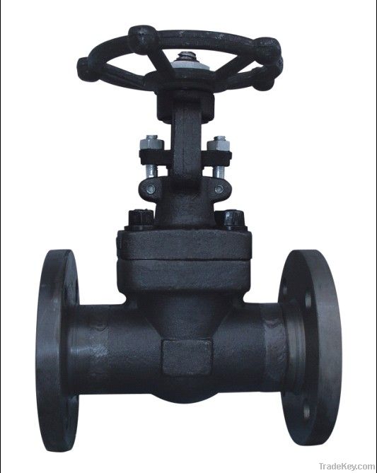 Forged Steel Valve