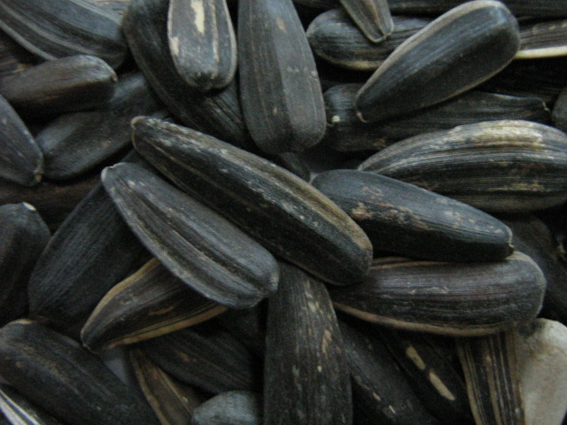 Sunflower Seeds