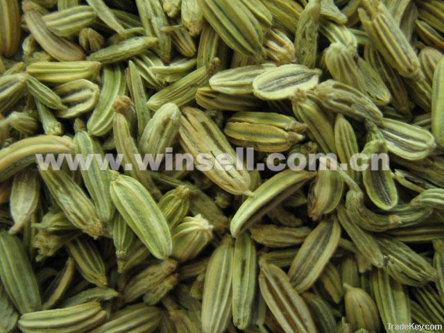 fennel seeds, cummin seeds, spice, spics, cooking spice,