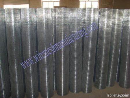 Welded Wire Mesh