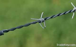 Barbed Iron Wire