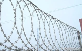 Razor Wire