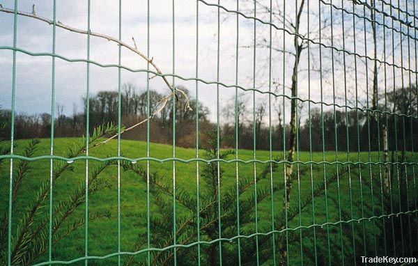 Euro Fence/Dutch Weave Fence