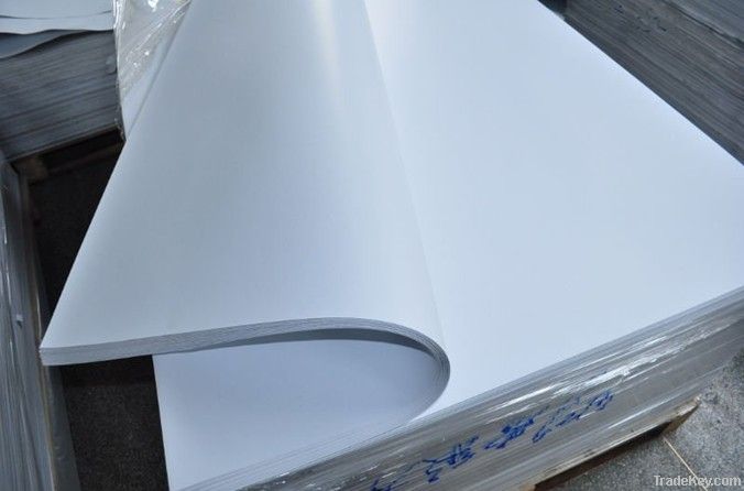 double coated duplex board white back