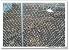 Chain Link Fence