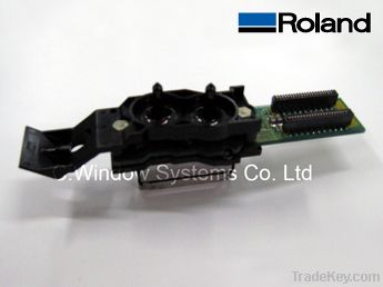 Roland Printhead (DX 4)