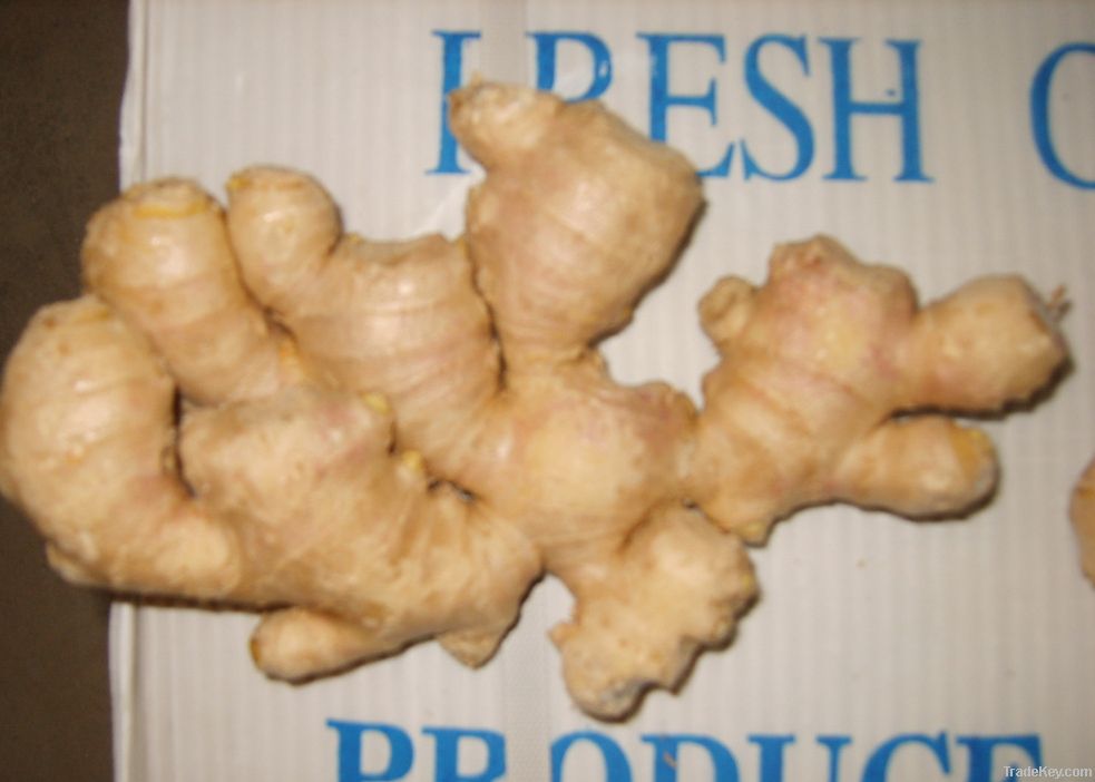 fresh/dry ginger