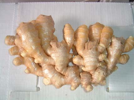 fresh/dry ginger