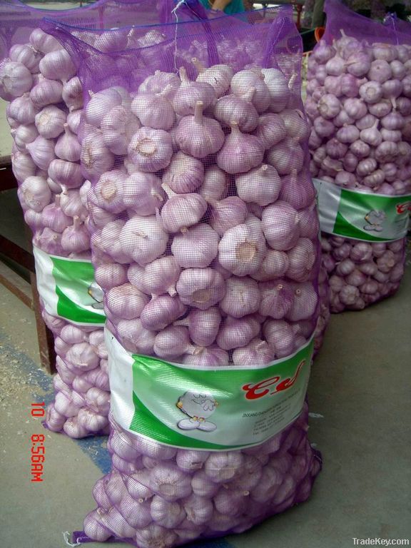 2011 China fresh garlic