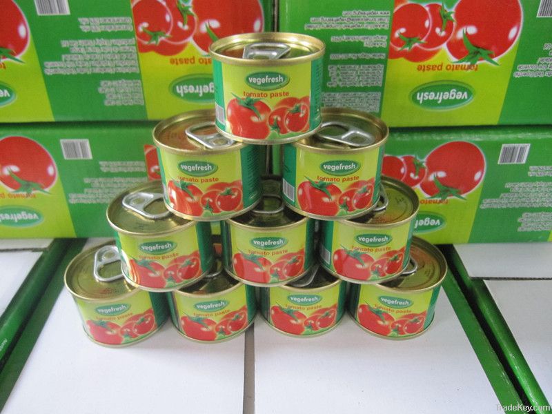 70g canned tomato paste ketchup sauce factory