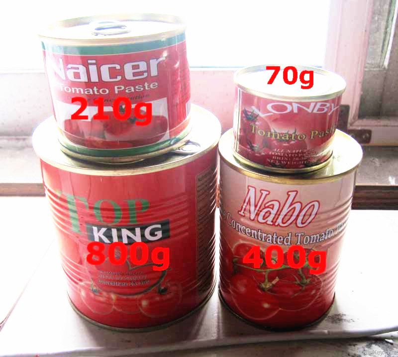 425g canned tomato paste ketchup sauce factory