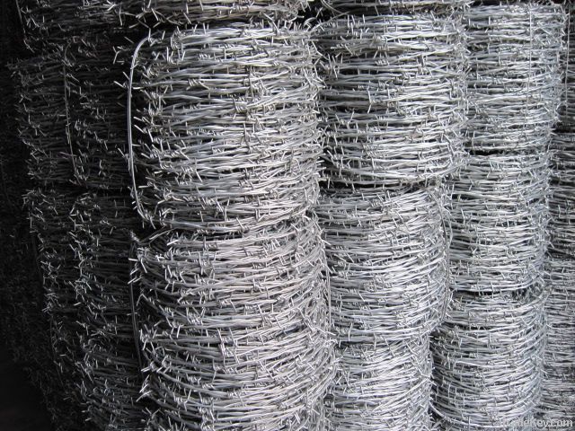 Galvanized Barbed Wire