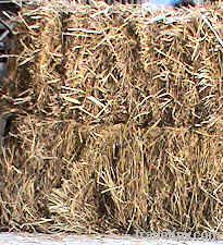 Hay; Boma Rhodes Grass, Wheat Straws, Barley Straws, Baler Twines