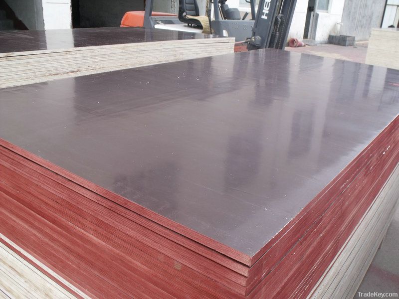 shuttering plywood