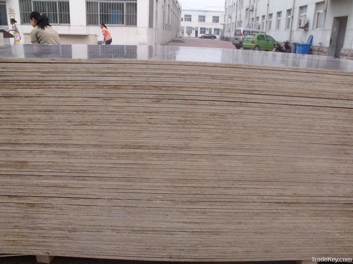 shuttering plywood