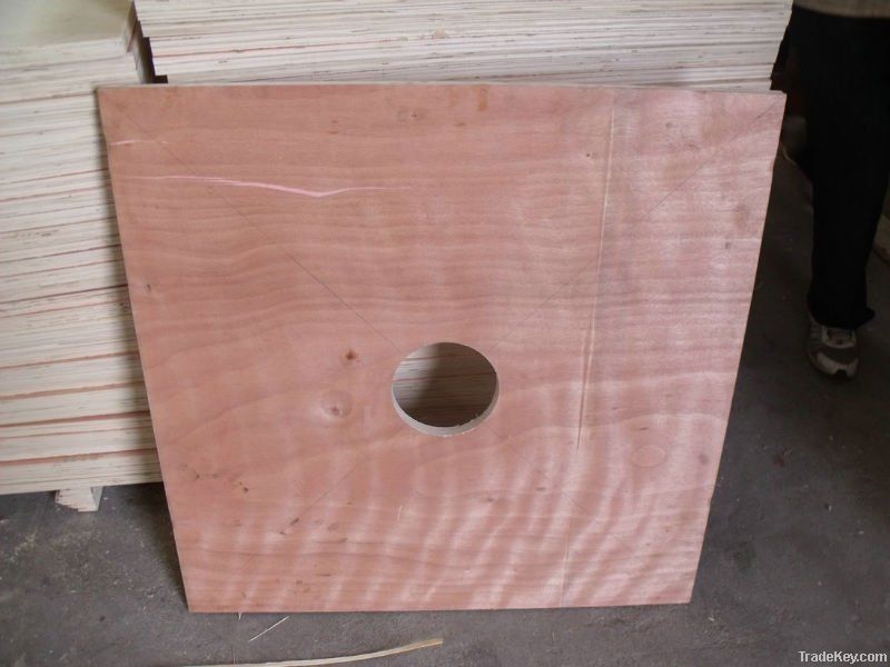 plywood with hole  diametre 6'